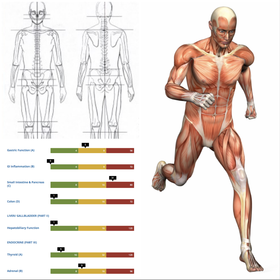 Performance & Injury Risk Assessment (PIRA) picture of product